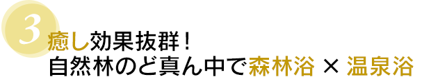 ３　癒し効果抜群！自然林のど真ん中で森林浴×温泉浴