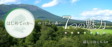 岩手 雫石南網張ありね温泉 ゆこたんの森