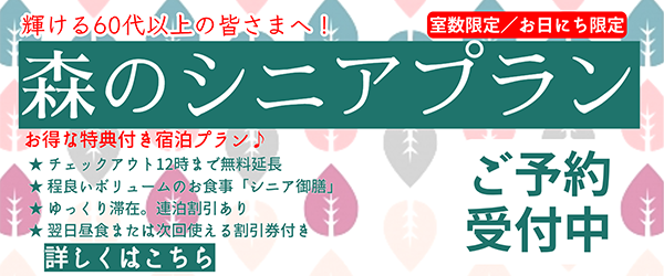 森のシニアプラン